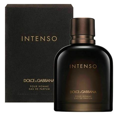 dolce gabbana pour homme 200 ml|dolce and gabbana intenso notes.